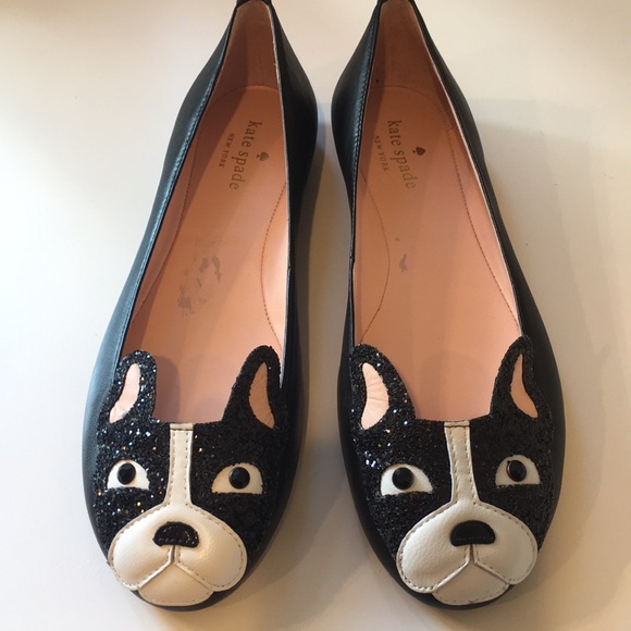 boston terrier flats